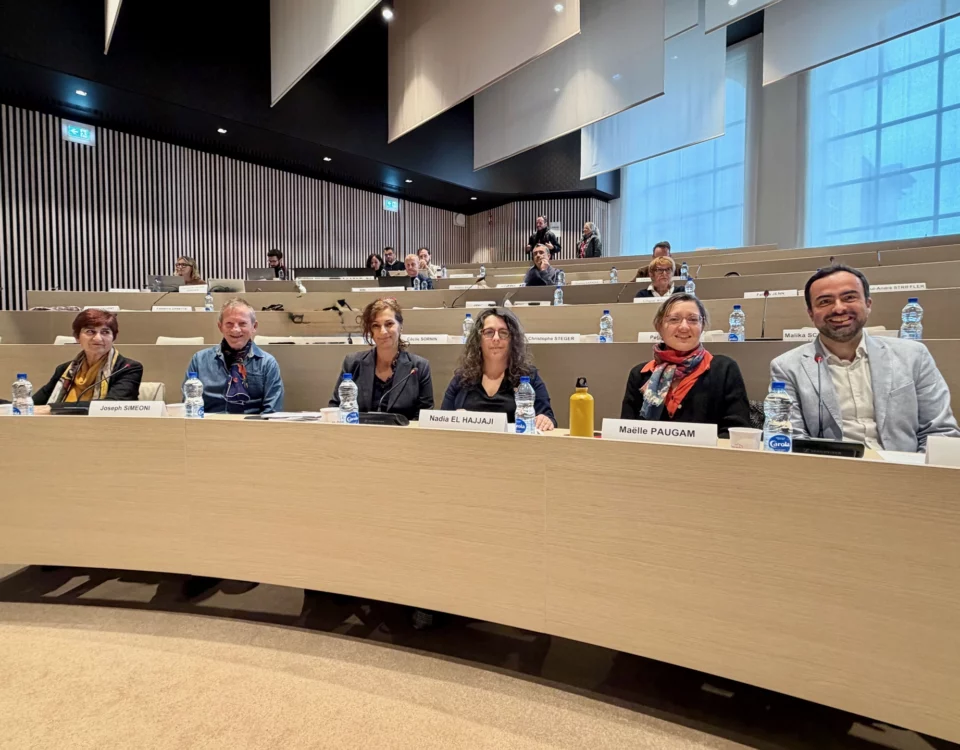 Conseil municipal 06/11 : propos liminaire de Loïc Minery