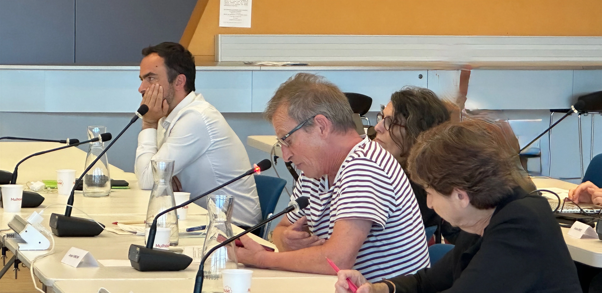 Voeu de paix à Gaza - Mulhouse en Commun